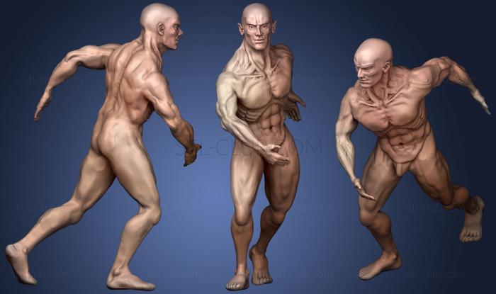 Male body study